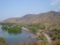 /album/biologia-/dili-baucau-timor-2012-13-jpg/